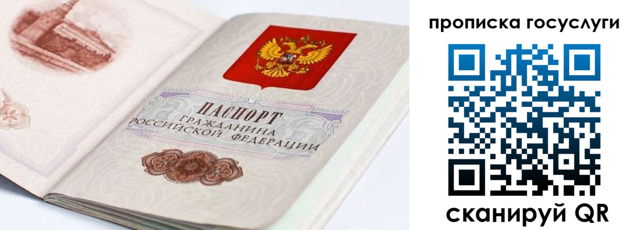 прописка регистрация в Псковской области
